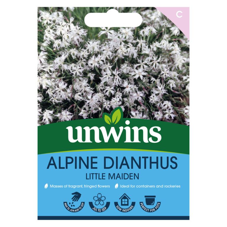 5051618035040 1 Alpine Dianthus Little Maiden Seeds.jpg